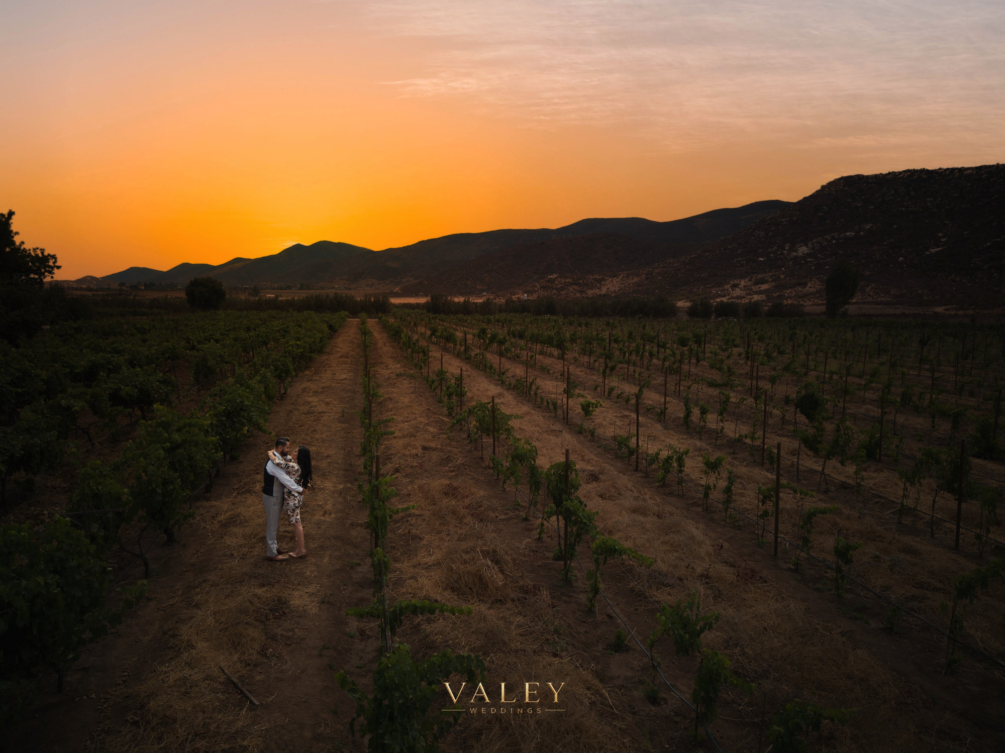 Still frame 5