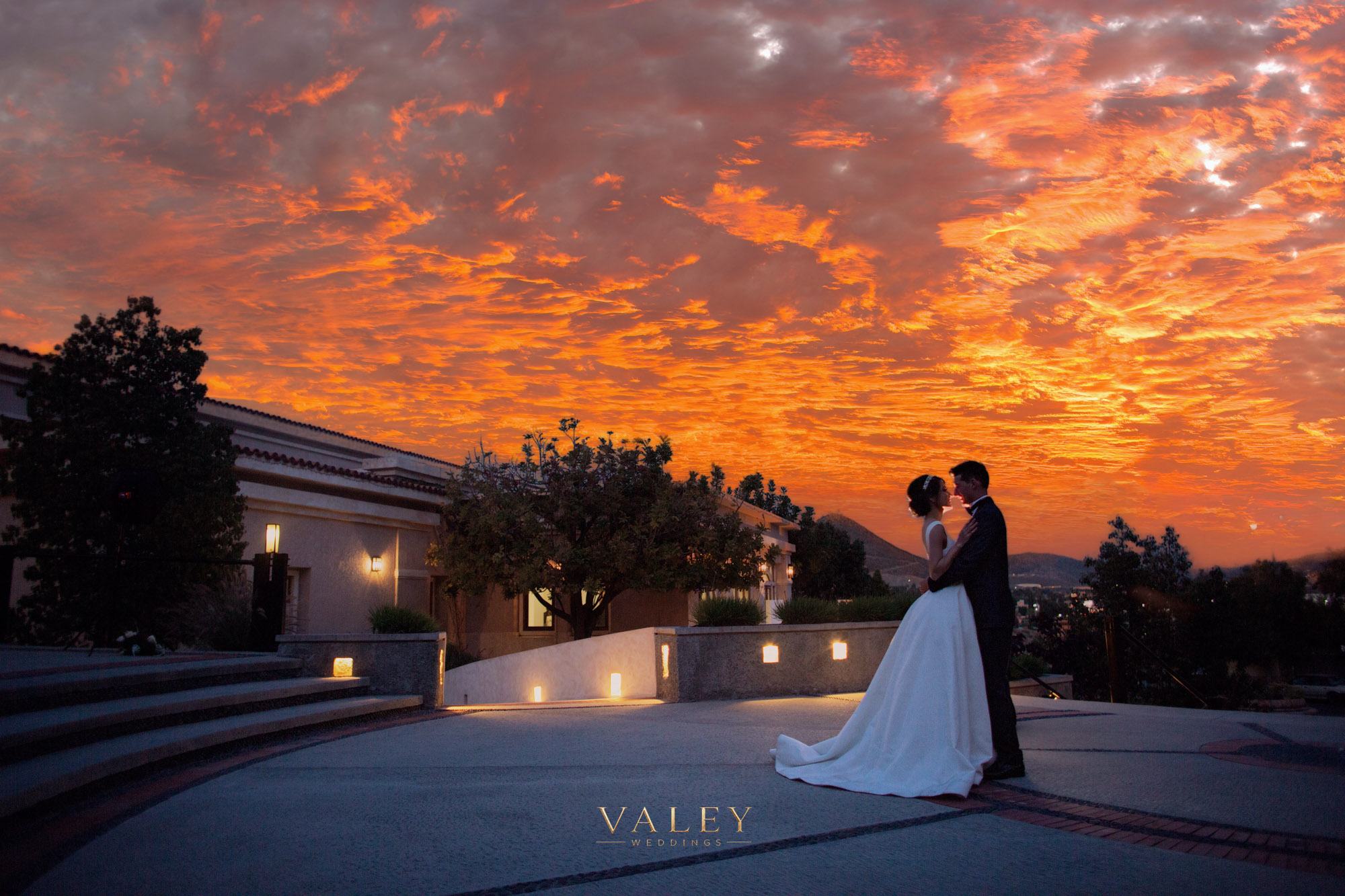 Wedding Highlights