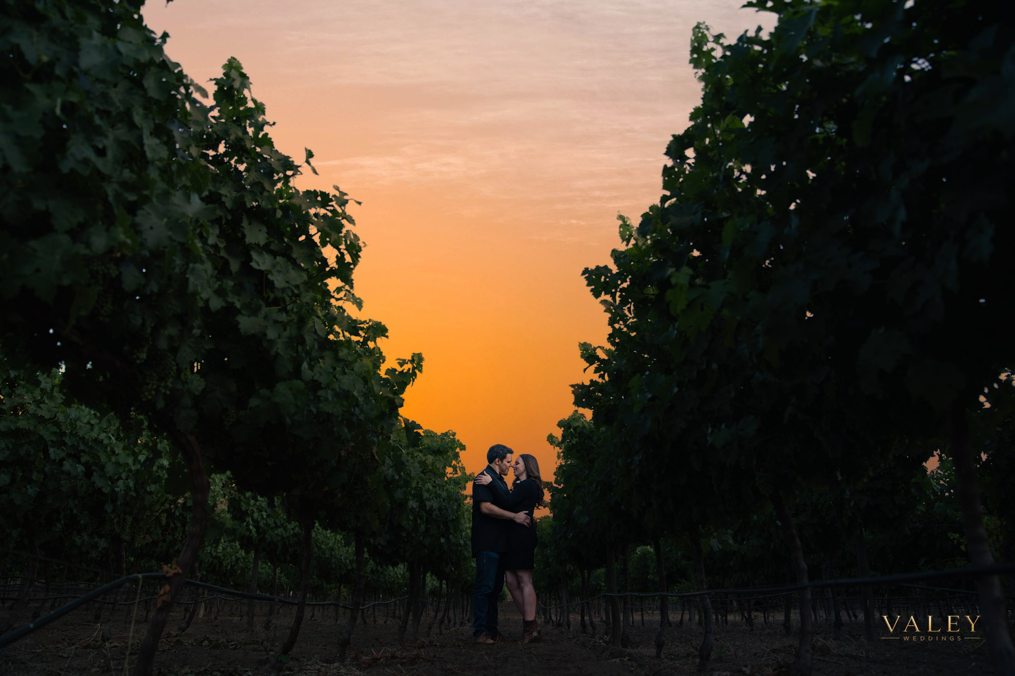 Wedding Photoshoot